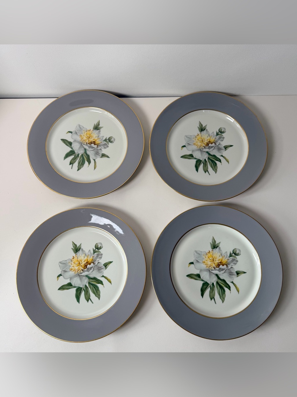 Princess Tru-Tone Golden Peony Dinner Plates Set of 4 10in Gray Rim